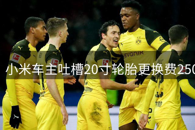 小米车主吐槽20寸轮胎更换费2500元 新能源车轮胎成本引热议