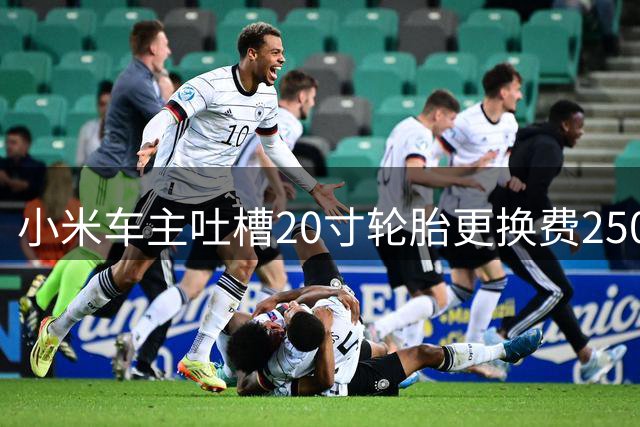 小米车主吐槽20寸轮胎更换费2500元 新能源车轮胎成本引热议
