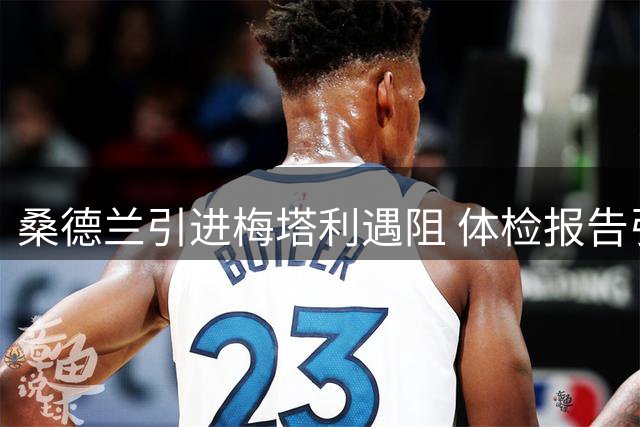 桑德兰引进梅塔利遇阻 体检报告引发转会争议