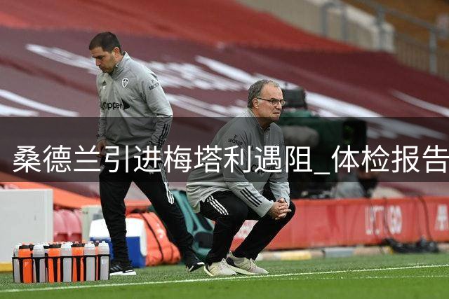 桑德兰引进梅塔利遇阻 体检报告引发转会争议